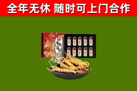 武功烟酒回收冬虫夏草礼盒.jpg